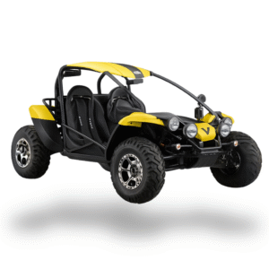 PGO BUG RACER 600cc